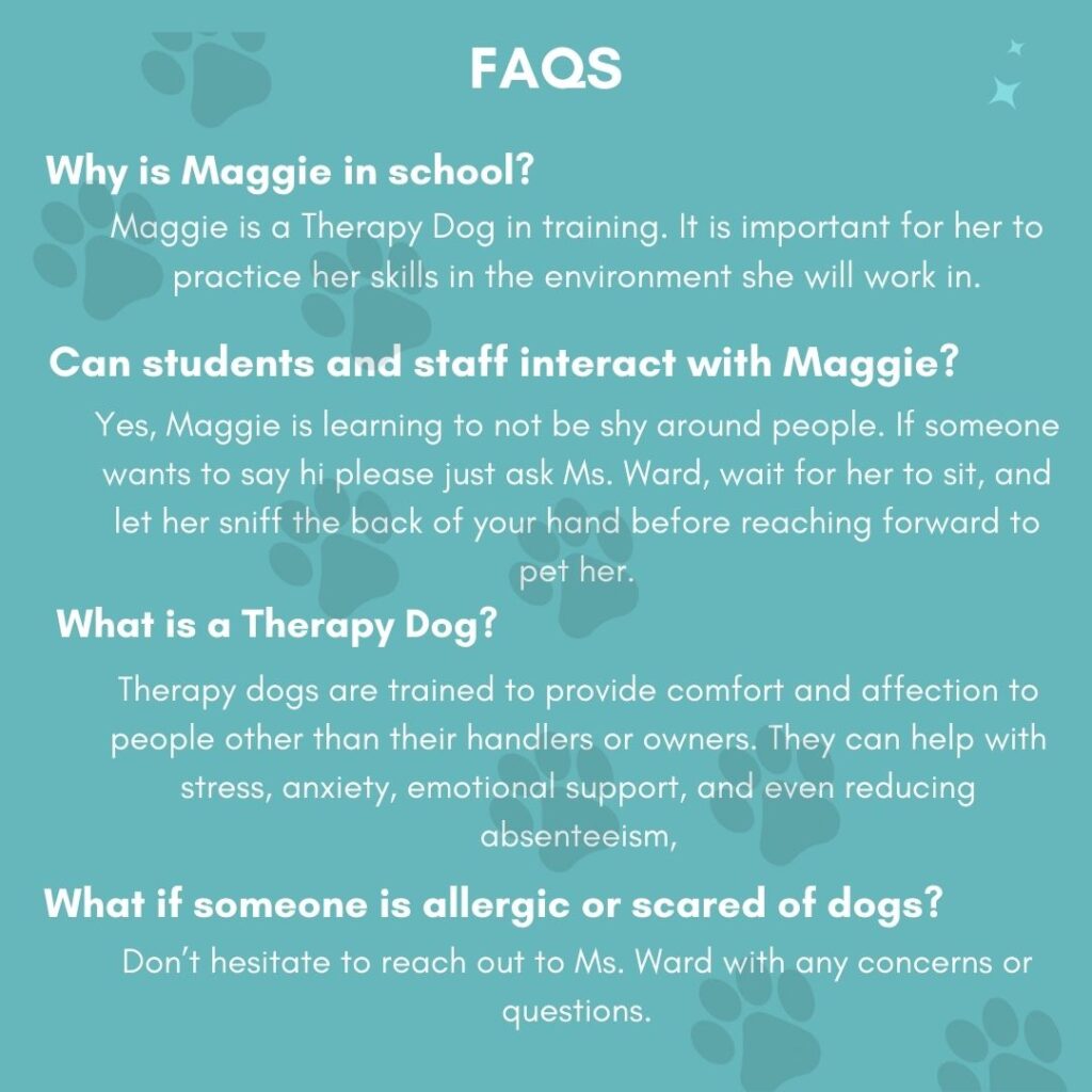 Maggie FAQs
