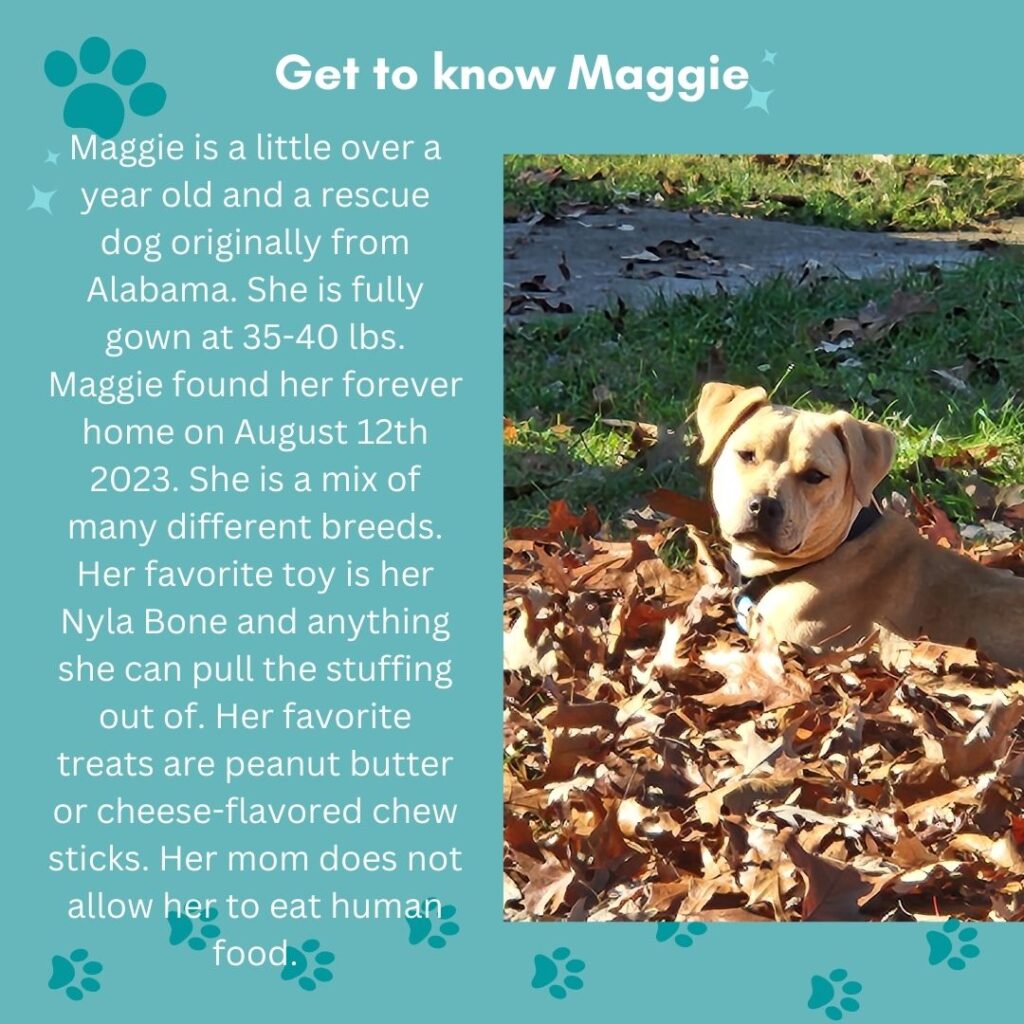 Getting to know Maggie